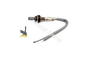 Lambdasonde Meat & Doria 50% rabatt